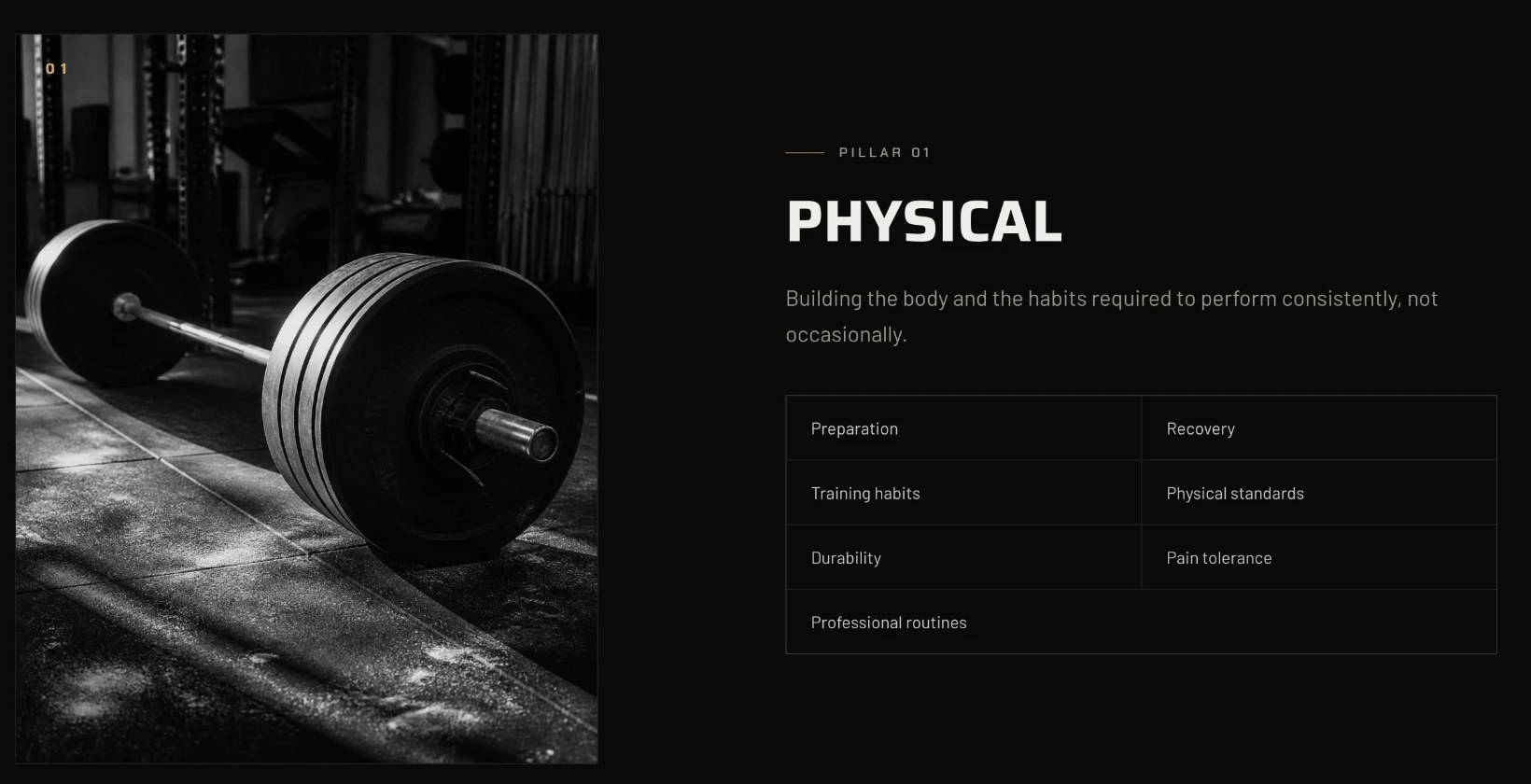 TALON athlete development website